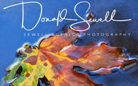 Visit Our Etsy Store by Sewell Scenics Photography