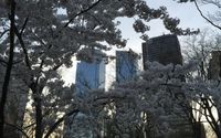 Free Consultation for the First Time Homebuyers in NYC by Compass Real Estate - Elena Ravich