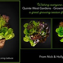 Thank you to Quinte West Gardens - Growing Community by Rufuss Specializing in Handmade Photo Lightboxes