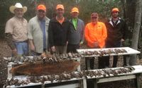 Guided upland hunting by Quail Hunt Dime Box