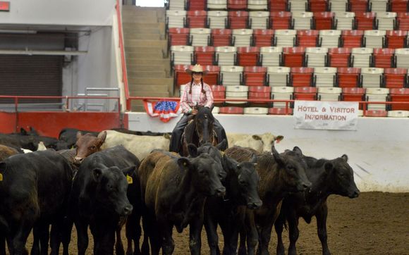 Horse Training and Horsemanship by Cripple Creek Ranch, LLC