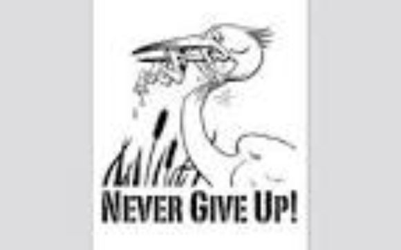 Financial Planning by Ashton Express Tax