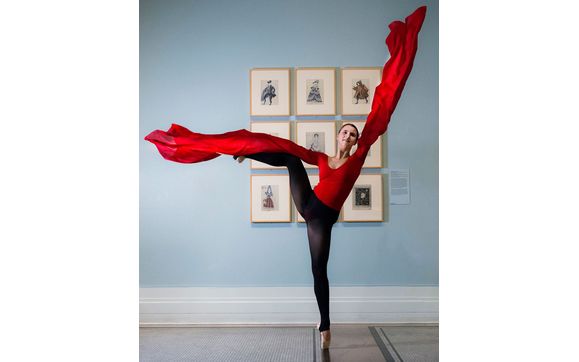 Special Order Costume for SLK Ballet, Chevalier Ballet by Trienawear Dancewear