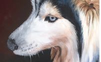 Pet Portraits - dog, cat, horse or birds by Gord Gordon Art
