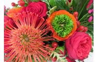 Online Ordering by Plants and Things Floral Design Center