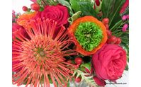 Order On Line--Curbside or Delivery by Plants and Things Floral Design Center