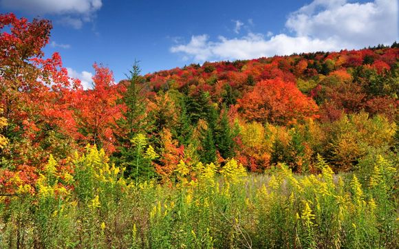 fine art for walls  by Ed Rehbein Photography