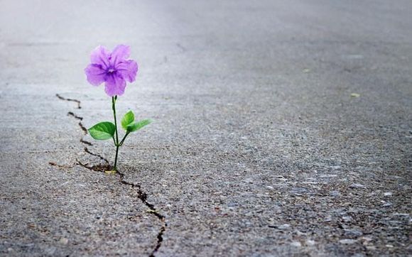 Family Recovery Group  by Parents Empowering Parents (PEP) Society  ( Head Office) 