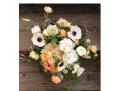 Delivery by Plan Decor