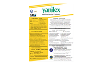 GovCon Capability Statements by Duwel Dev