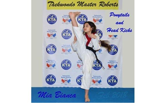 Taekwondo Martial Arts by Taekwondo Master Roberts