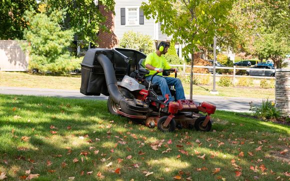 Landscape Maintenance by M&G Landscaping, LLC