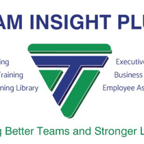 Free Consultation Calls by Team Insight Plus, LLC 