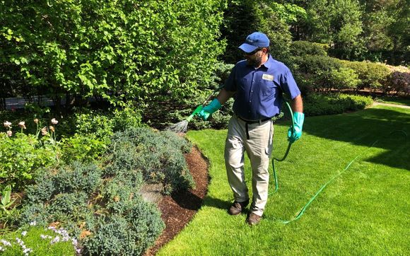 Environmentally Responsible Care for your Landscape by North Eastern ...