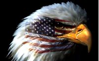 VA Home Loans by Lincoln Savings Bank
