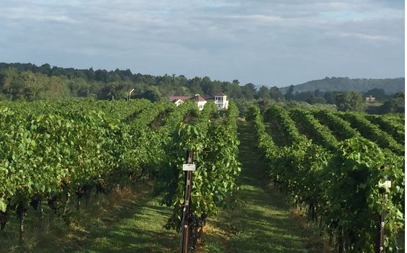 Tours & Sightseeing by A Life Well Drunk