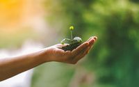 Hypnosis for Stress Relief by Green Mountain Hypnosis