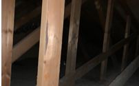 Basement & Attic Finishing by Urban contracting Ltd. Drainrite Eavestrough Inc. Canadian Master Roofing