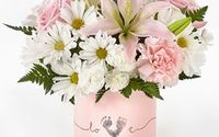 New Baby Flowers  by Jen-Mor Florist