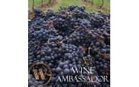 Wine Ambassador by One Stop Online Deals