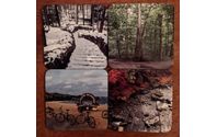 Photo Coasters by Bluewater Originals