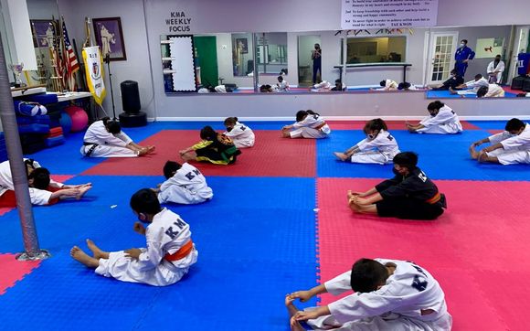 Private Online Fitness Classes   by KMA Taekwondo Hapkido
