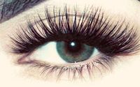 Calgary’s Perfect Eyelash Extensions  by ZenSkinCo 