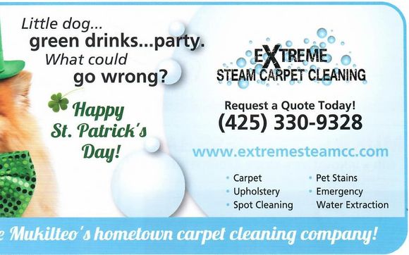 All Floor Care by Extreme Steam Carpet Cleaning