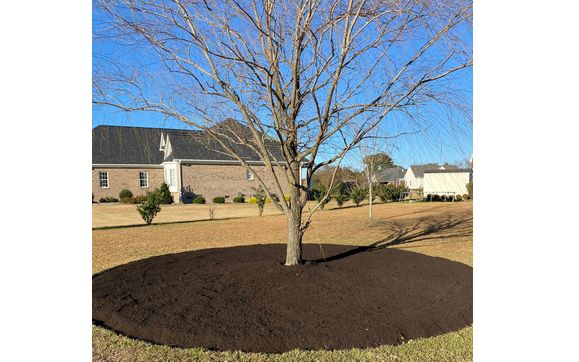 Mulch  by Blu Enterprise maintenance co