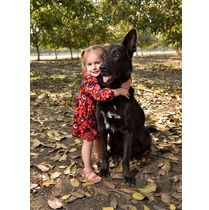 Pet & owner portrait's  by Alvarez Photography Studio