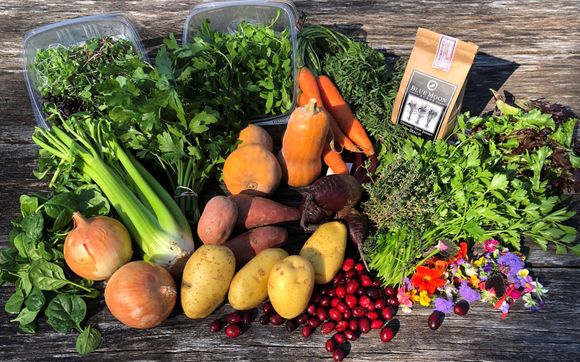 Blue Moon Produce Boxes by Blue Moon Acres