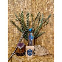 The Anespa  by Pure Water Wave