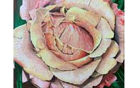 Original Paintings - Currently Available by Uncompleted Canvas LLC