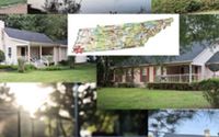 Pickleball Paradise by Willow Grove Farms: Pickleball Paradise