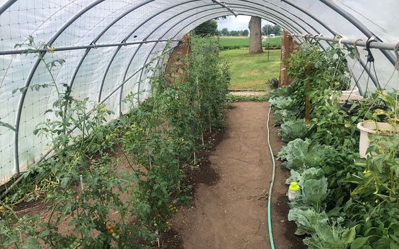 Sustainable Agriculture by Self-employed @ The Aarrk Gardens (501c3)