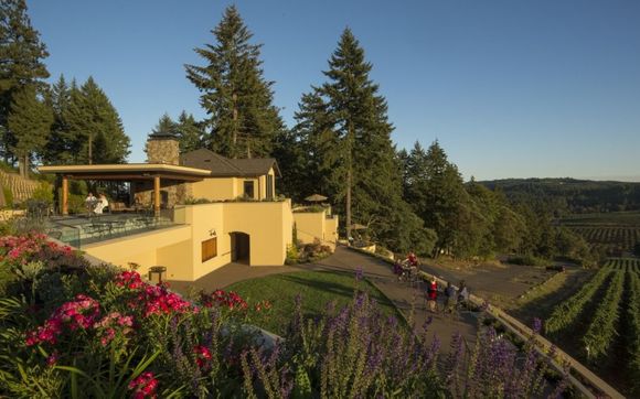 Tours &amp; Sightseeing by ecoShuttle Charters & Tours