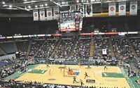 Pro basketball that is fun for the family at affordable prices  by Pro Basketball Association LLC