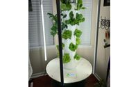 Juice Plus & Tower Gardens by Live a Legacy, LLC
