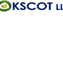 Our Network offers Tax Preparation Services To Claim Tax Incentives by KSCOT-LLC, Business Funding