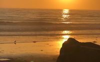 All-inclusive Packages by Travel Agency