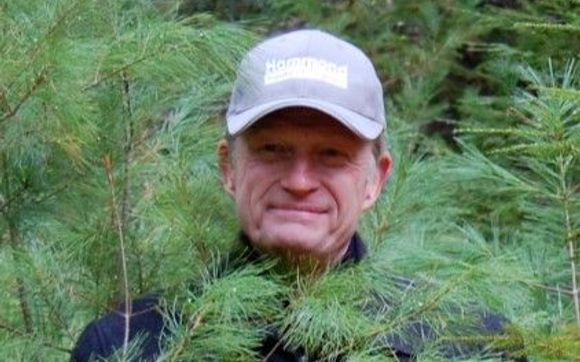 Forestry and forest industry consulting by The Irland Group