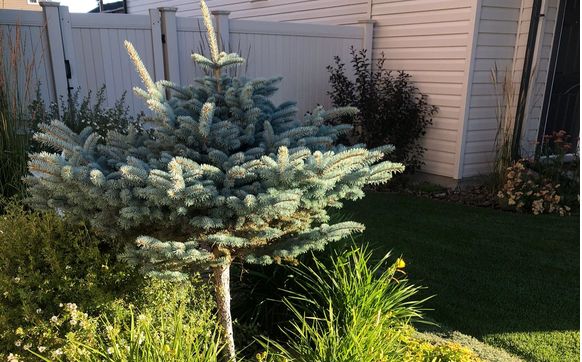 Landscape Design by Yard Attack Landscaping