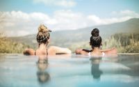 Email Newsletters by Ecocuriean Traveler