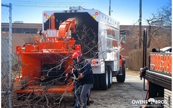 NYC tree service by Owens Bros Tree - 24 Hour Tree Removal, Pruning & Trimming Service