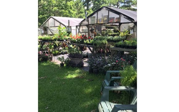 The Plant Fairie nursery.  by The Plant Fairie