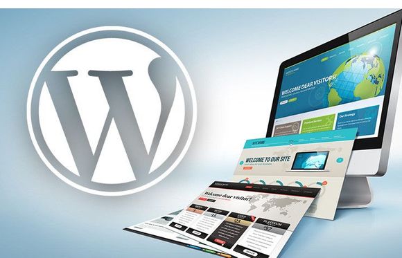 WordPress Web Development by Grassroots Organic Digital Marketing