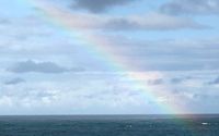 Cruises by Travel Agency