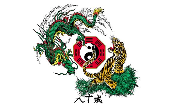 Adult Martial Arts Program by Body Mind Systems