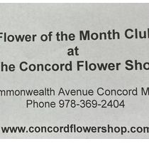 Flower of the Month Club by Concord Flower Shop is a locally owned family florist
