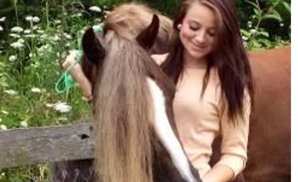 Complete services for the horse and rider. Welsh Pony Breeders by Dartland Farms